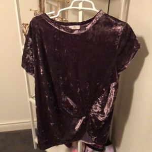 Hummingbird Velvet Top
